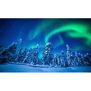 Ingooood Jigsaw Puzzle 1000 Pieces- Arctic forest - Entertainment Toys for Adult Special Graduation or Birthday Gift Home Decor - Ingooood jigsaw puzzle 1000 piece