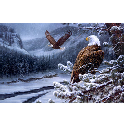 Ingooood Jigsaw Puzzle 1000 Pieces- Bald Eagle - Entertainment Toys for Adult Special Graduation or Birthday Gift Home Decor - Ingooood jigsaw puzzle 1000 piece