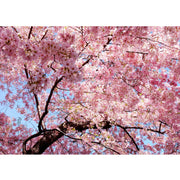 Ingooood Wooden Jigsaw Puzzle 1000 Piece - Under the Cherry Blossom Tree - Ingooood jigsaw puzzle 1000 piece