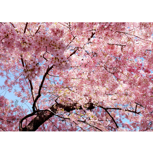 Ingooood Wooden Jigsaw Puzzle 1000 Piece - Under the Cherry Blossom Tree - Ingooood jigsaw puzzle 1000 piece