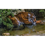 Ingooood Jigsaw Puzzle 1000 Pieces- Oil painting-Tiger in the stream - Entertainment Toys for Adult Special Graduation or Birthday Gift Home Decor - Ingooood jigsaw puzzle 1000 piece