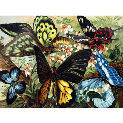 Ingooood Jigsaw Puzzle 1000 Pieces- Butterflies Fly - Entertainment Toys for Adult Special Graduation or Birthday Gift Home Decor - Ingooood jigsaw puzzle 1000 piece