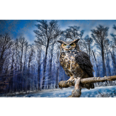 Ingooood Jigsaw Puzzle 1000 Pieces- Owl under the cedar - Entertainment Toys for Adult Special Graduation or Birthday Gift Home Decor - Ingooood jigsaw puzzle 1000 piece