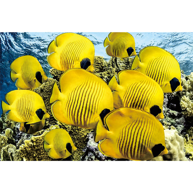 Ingooood Wooden Jigsaw Puzzle 1000 Piece - Tropical Fish - Ingooood jigsaw puzzle 1000 piece