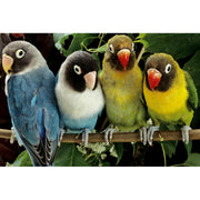 Ingooood Wooden Jigsaw Puzzle 1000 Piece - Colorful Parrot - Ingooood jigsaw puzzle 1000 piece