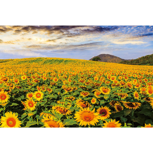 Ingooood Wooden Jigsaw Puzzle 1000 Piece - Sunflower Garden - Ingooood jigsaw puzzle 1000 piece
