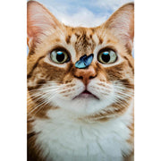 Ingooood Wooden Jigsaw Puzzle 1000 Piece - Surprised Cute Kitten - Ingooood jigsaw puzzle 1000 piece