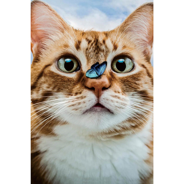 Ingooood Wooden Jigsaw Puzzle 1000 Piece - Surprised Cute Kitten - Ingooood jigsaw puzzle 1000 piece