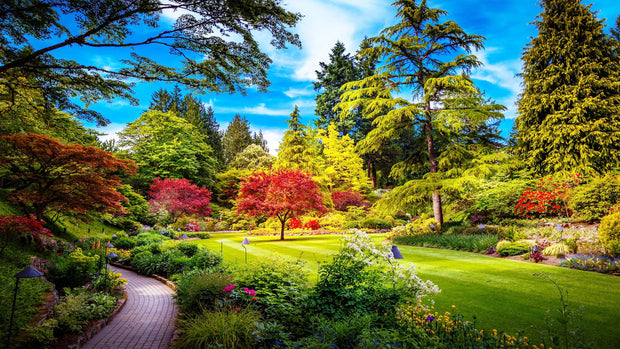 Ingooood Wooden Jigsaw Puzzle 1000 Piece - Lovely Spring - Park - Ingooood jigsaw puzzle 1000 piece