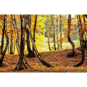 Ingooood Wooden Jigsaw Puzzle 1000 Piece - White Birch - Ingooood jigsaw puzzle 1000 piece