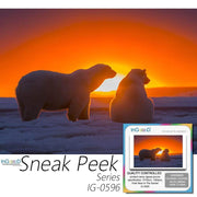 Ingooood- Jigsaw Puzzle 1000 Pieces- Polar Bear in The Sunset_IG-0596 Entertainment Toys for Adult Special Graduation or Birthday Gift Home Decor - Ingooood