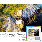 Ingooood-Jigsaw Puzzle 1000 Pieces-Sneak Peek Series-Guarding the lighthouse_IG-1325 Entertainment Toys for Adult Special Graduation or Birthday Gift Home Decor - Ingooood