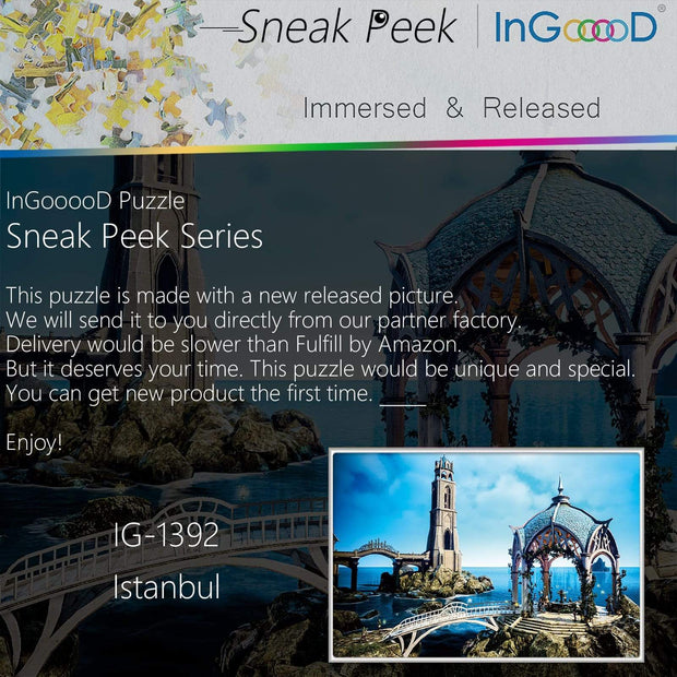 Ingooood-Jigsaw Puzzle 1000 Pieces-Sneak Peek Series-Istanbul_IG-1392 Entertainment Toys for Adult Special Graduation or Birthday Gift Home Decor - Ingooood