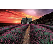 Ingooood-Jigsaw Puzzle 1000 Pieces-Sneak Peek Series-Lavender at dusk_IG-1514 Entertainment Toys for Adult Graduation or Birthday Gift Home Decor - Ingooood