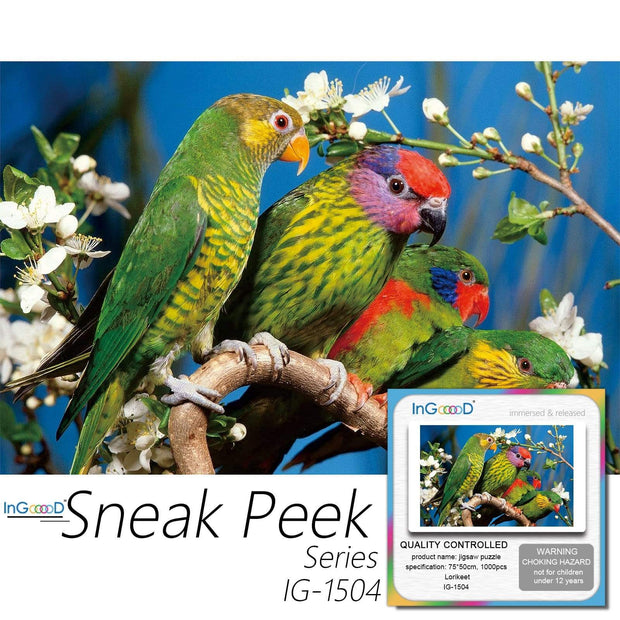 Ingooood-Jigsaw Puzzle 1000 Pieces-Sneak Peek Series-Lorikeet_IG-1504 Entertainment Toys for Adult Graduation or Birthday Gift Home Decor - Ingooood