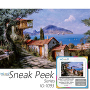 Ingooood-Jigsaw Puzzle 1000 Pieces-Sneak Peek Series-Path Behind The House_IG-1093 Entertainment Toys for Graduation or Birthday Gift Home Decor - Ingooood