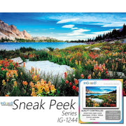 Ingooood-Jigsaw Puzzle 1000 Pieces-Sneak Peek Series-Summer Landscape_IG-1244 Entertainment Toys for Adult Special Graduation or Birthday Gift Home Decor - Ingooood